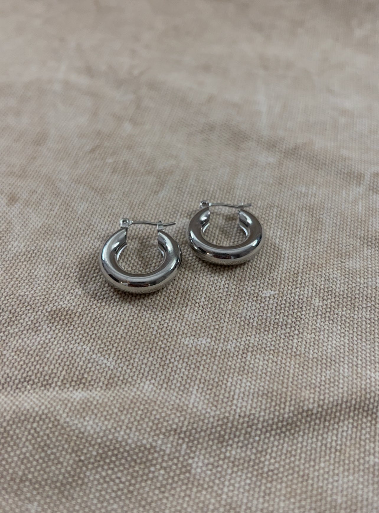 Dominique Small Hoop Earrings